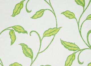 Фото - Обои Sandudd Rolleri 7 - 422386>