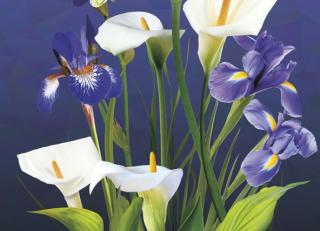 Фото - Обои Ortograf Flower dreams - 476764>