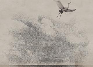 Фото - Обои Wall&Deco CODE 2019 WET SYSTEM - 462763>