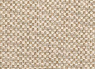 Фото - Ткани Clarke&Clarke Maximus - 296376>