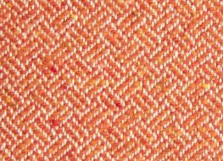 Фото - Ткани Alessandro Bini Manciano - 571630>