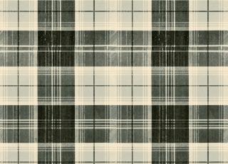 Фото - Обои Mindthegap Transylvanian Roots - 558967>