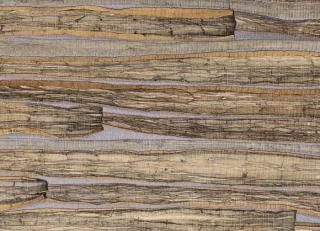 Фото - Обои Omexco - 519259>