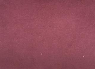 Фото - Ткани Foresti Home Collection Veluto Rubino - 570076>