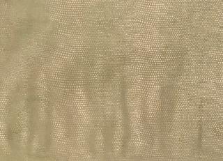 Фото - Ткани Galleria Arben Bernini - 413161>