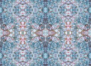 Фото - Ткани Susi Bellamy - 381373>