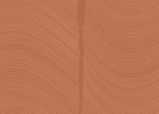 Фото - Обои Loymina Equilibre - 419447>