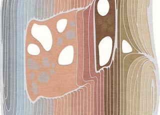 Фото - Ковры Tapis Rouge Elettrico - 590027>