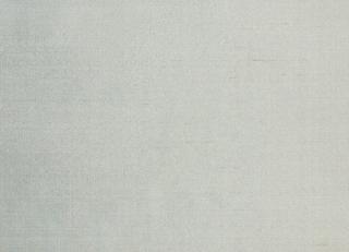 Фото - Ткани Dedar Venere - 551420>