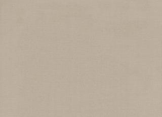 Фото - Ткани Rubelli Ragtime - 493568>