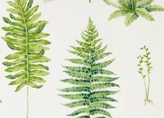 Фото - Обои Sanderson Glasshouse - 410782>