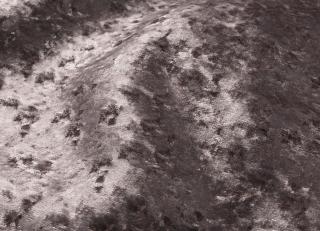 Фото - Ткани Galleria Arben Baroque - 534082>