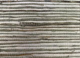 Фото - Обои Architector Pavone - 576177>