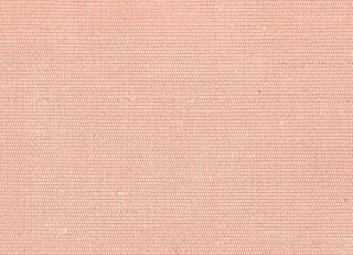 Фото - Ткани Rubelli Carlo - 488209>