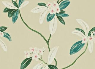 Фото - Обои Sanderson Richmond hill - 189779>