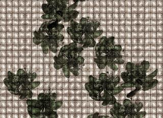 Фото - Обои Wall&Deco CODE 2018 CONTEMPORARY - 464737>