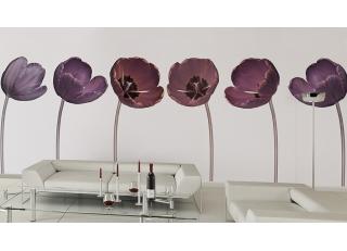 Фото - Обои Glamora Essence - 225508>