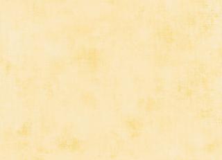 Фото - Обои Caselio Telas - 399249>