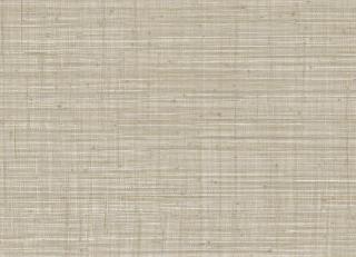 Фото - Обои Jannelli & Volpi JV800 Tierra - 546671>