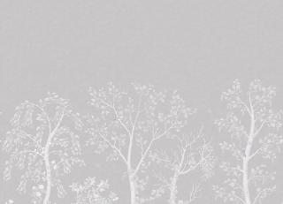 Фото - Обои Cole & Son The Gardens - 561711>