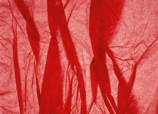 Фото - Обои Mr Perswall Photo - 235225>