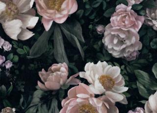 Фото - Обои BorasTapeter In Bloom - 380658>