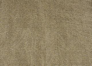 Фото - Ткани Designers Guild Castellani - 281853>