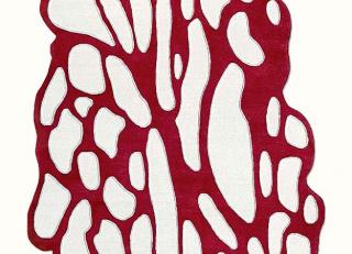 Фото - Ковры Tapis Rouge Tratto - 591460>