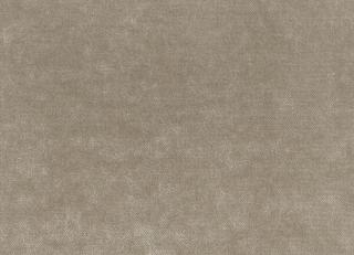 Фото - Ткани Dedar Plushy - 549837>