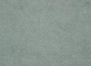 Фото - Ткани Clarke&Clarke Regal - 305372>