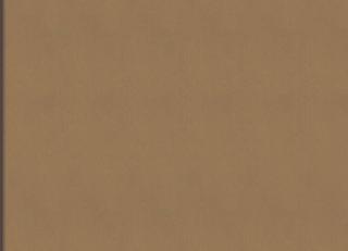 Фото - Обои Elitis Rayures jumelles - 560928>