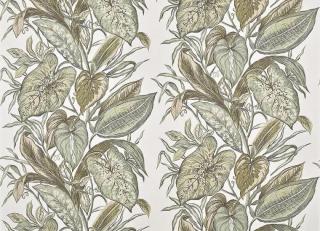 Фото - Обои Pierre Frey Jardins Secrets Wallpapers - 617437>