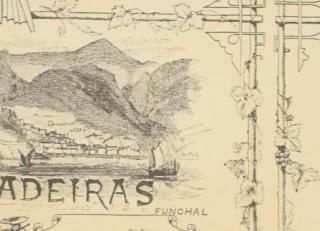 Фото - Обои Lewis & Wood Classical Wallpapers - 212599>