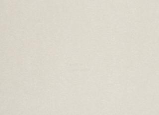 Фото - Обои Caselio Obsession - 231249>