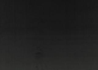 Фото - Ткани Villa Nova Rio  - 566276>