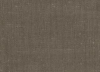 Фото - Ткани Rubelli Carlo - 488193>