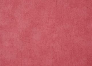 Фото - Обои Caselio Curiosity - 223592>