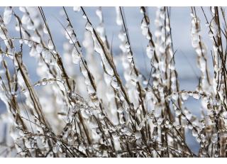 Фото - Обои Photowall Природа - 298754>