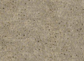 Фото - Обои Khroma Cabinet of curiosities - 508896>