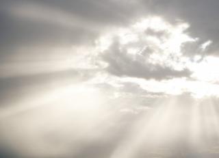 Фото - Обои Mr Perswall Photo - 235234>