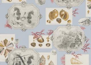 Фото - Обои Pierre Frey Dessins Signatures - 481993>