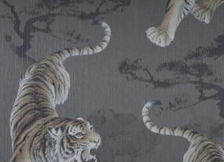 Фото - Обои для стен Carlucci - 577898>