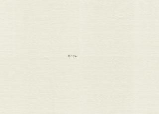 Фото - Обои Emiliana Parati Dolce&Gabbana - 609969>