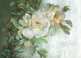 Фото - Обои Ortograf Flower dreams - 476774>