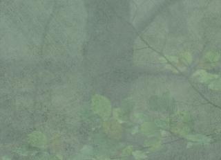 Фото - Шведские бумажные обои - 244808>