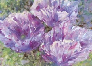 Фото - Обои Ortograf Влад Кравчук - 478403>