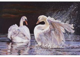 Фото - Обои Ortograf Елена Самарская - 479069>