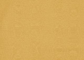 Фото - Ткани Clarke&Clarke Moire - 404040>