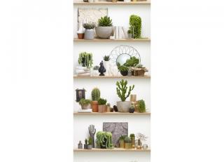 Фото - Обои Koziel Nature wallpapers - 326727>