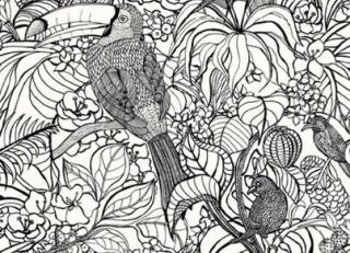 Фото - Обои Pierre Frey Graminees 3 - 324217>